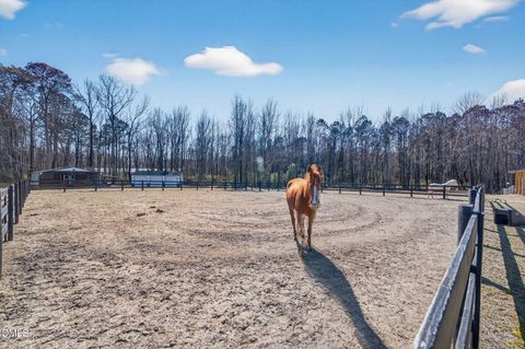 794 Cobb Road Benson NC 27504