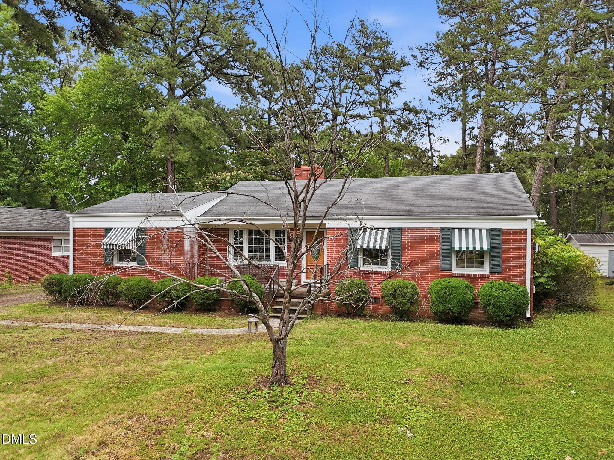 213 Pine Tree Road