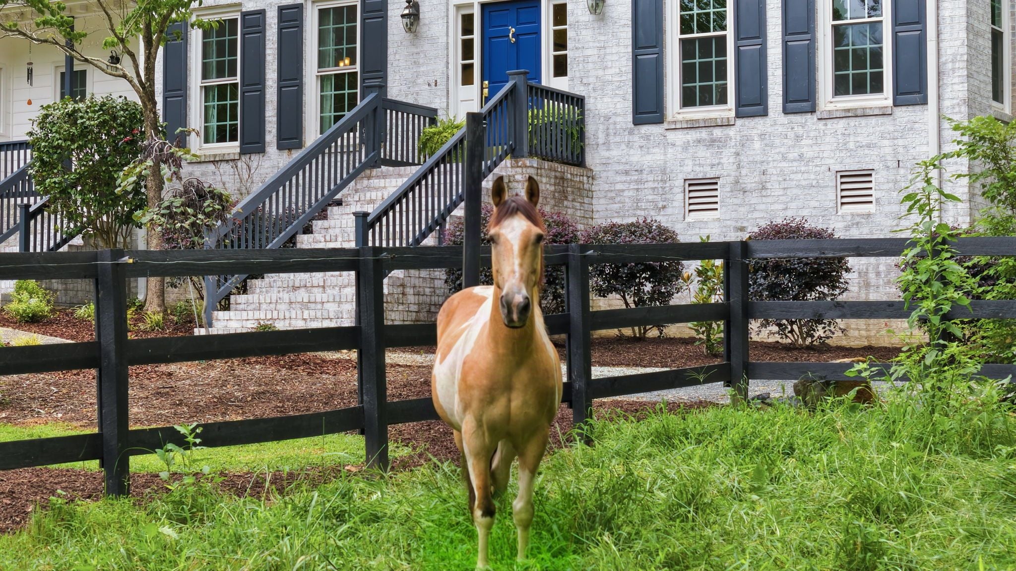 504 Appaloosa Trail