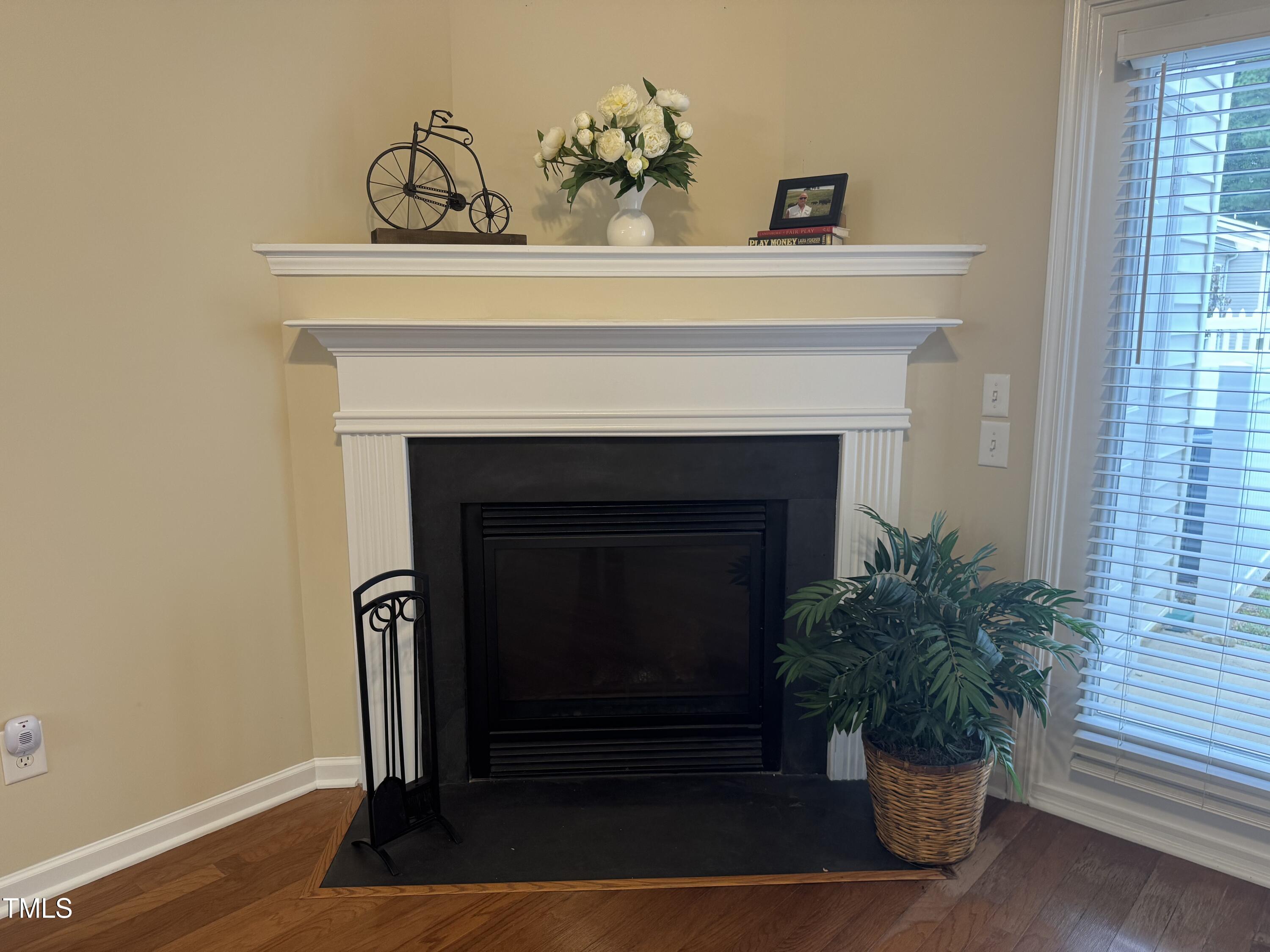 2513 Asher View Court