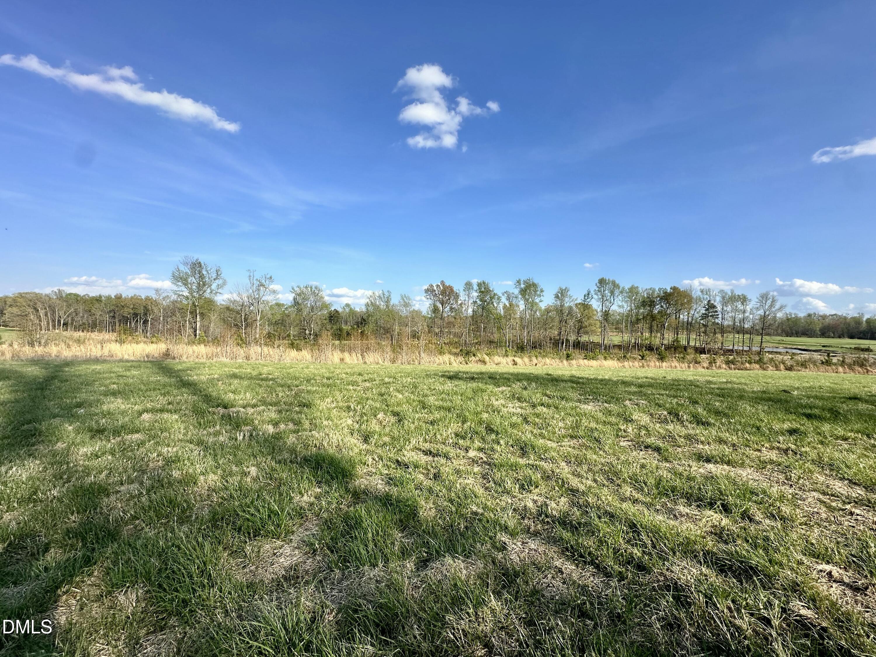 4.62 Acres Jones Road
