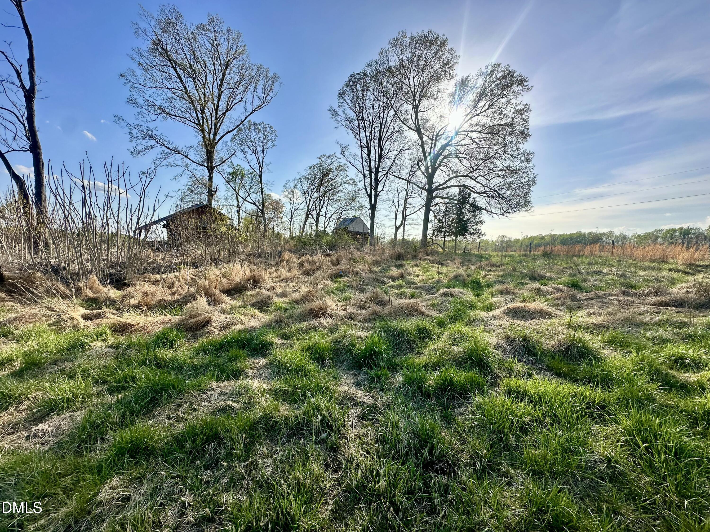 4.62 Acres Jones Road