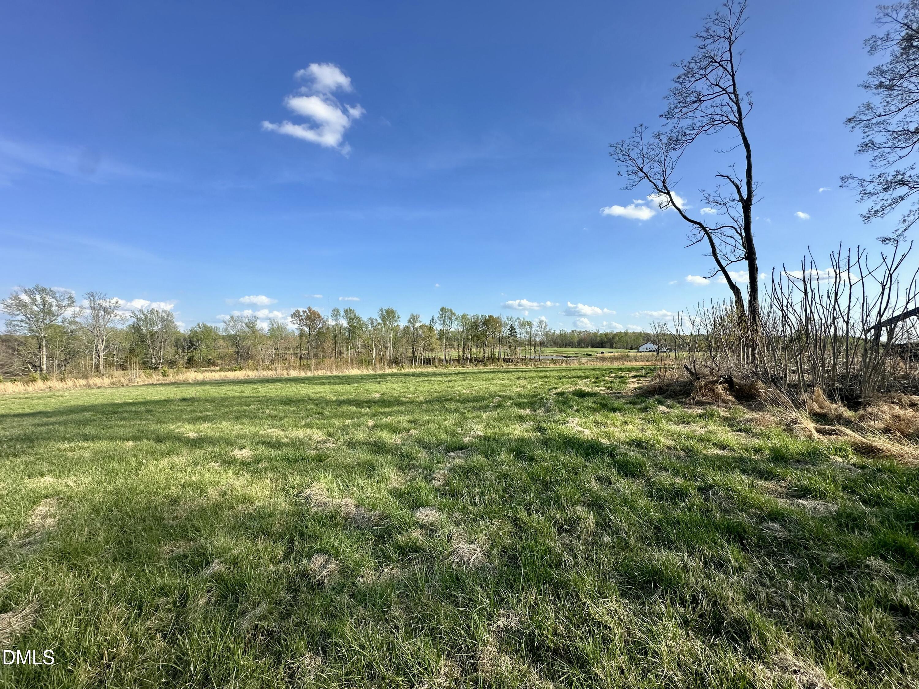 4.62 Acres Jones Road