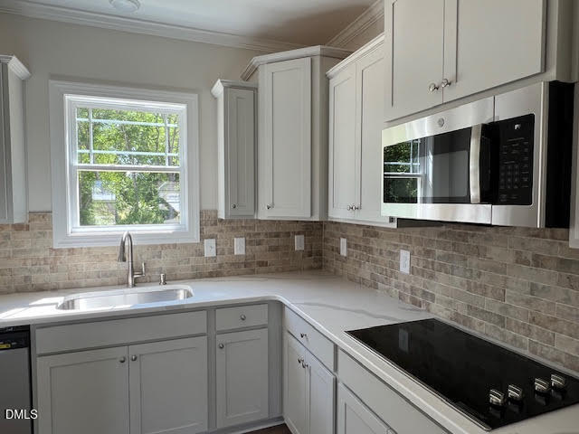 842 Olive Branch Drive