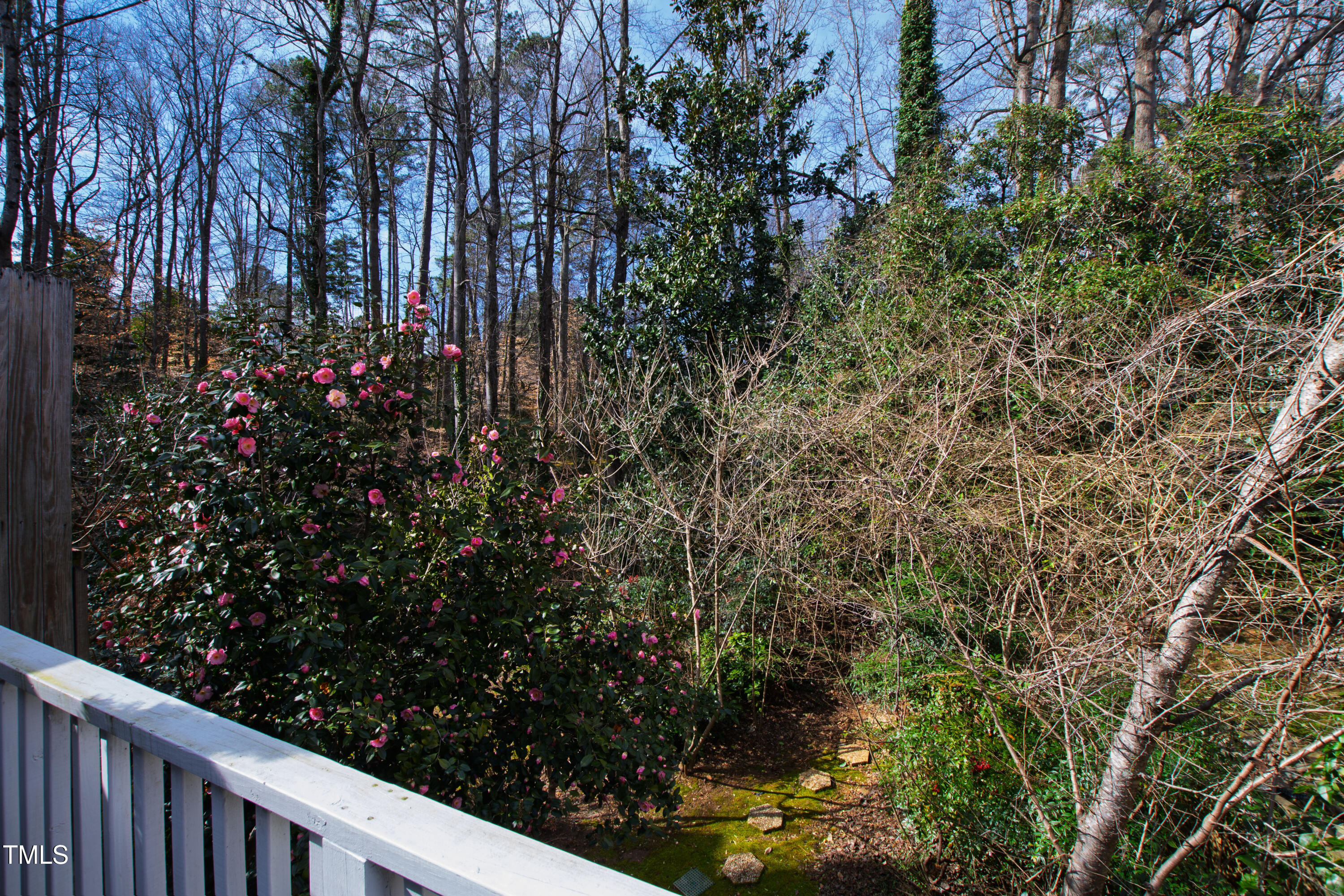 Raleigh, North Carolina 27612, United States, 3 Bedrooms Bedrooms, ,3 BathroomsBathrooms,Residential,Active,758