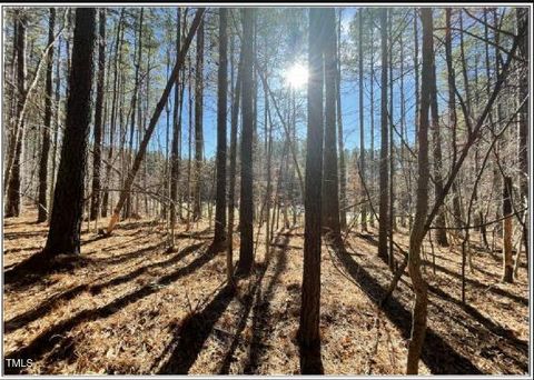 586 Anneliis Lane Siler City NC 27344