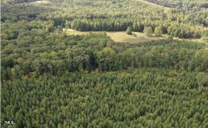 30.58ac Enon Road
