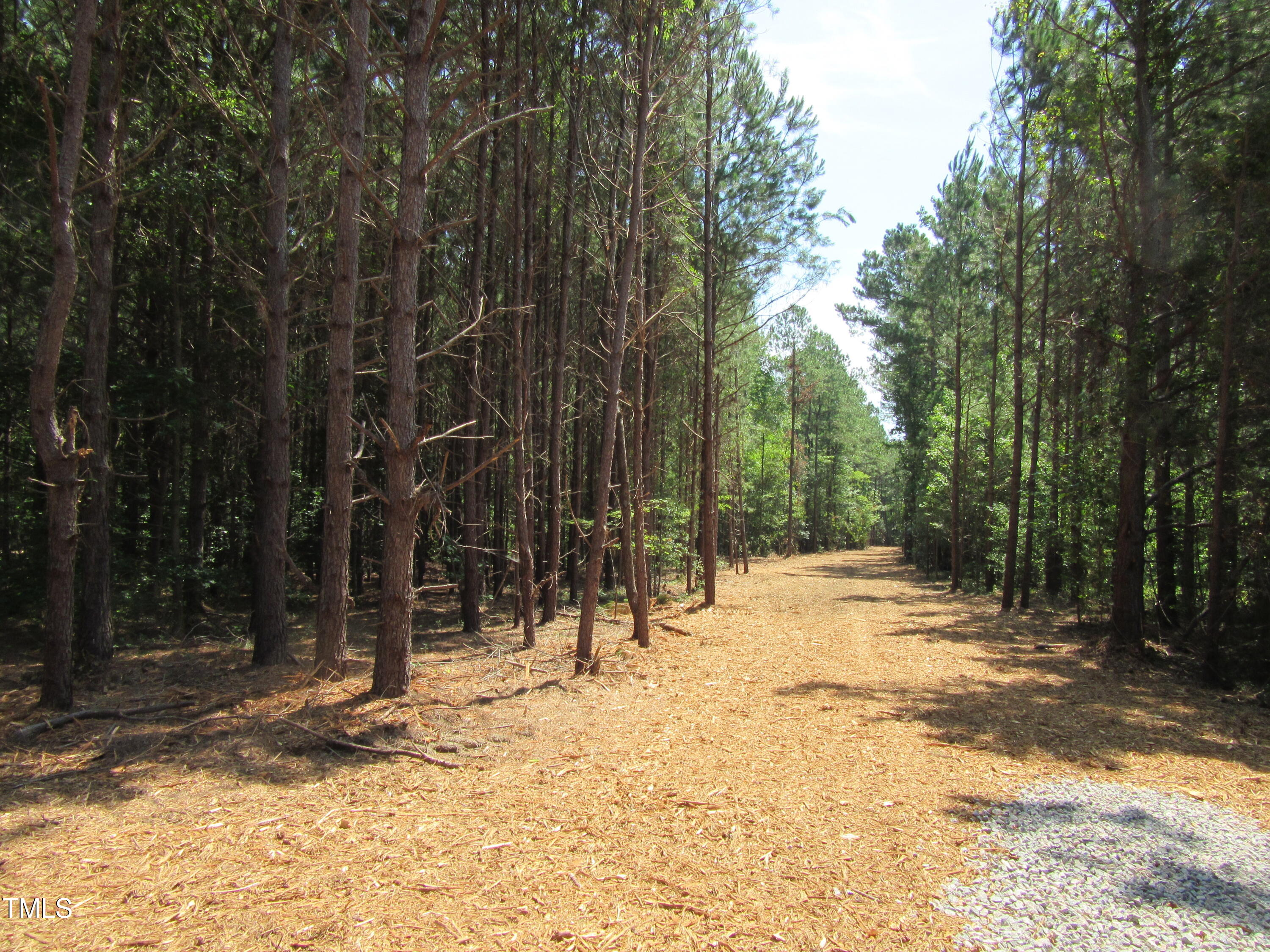 6.1 Acres Frazier Road