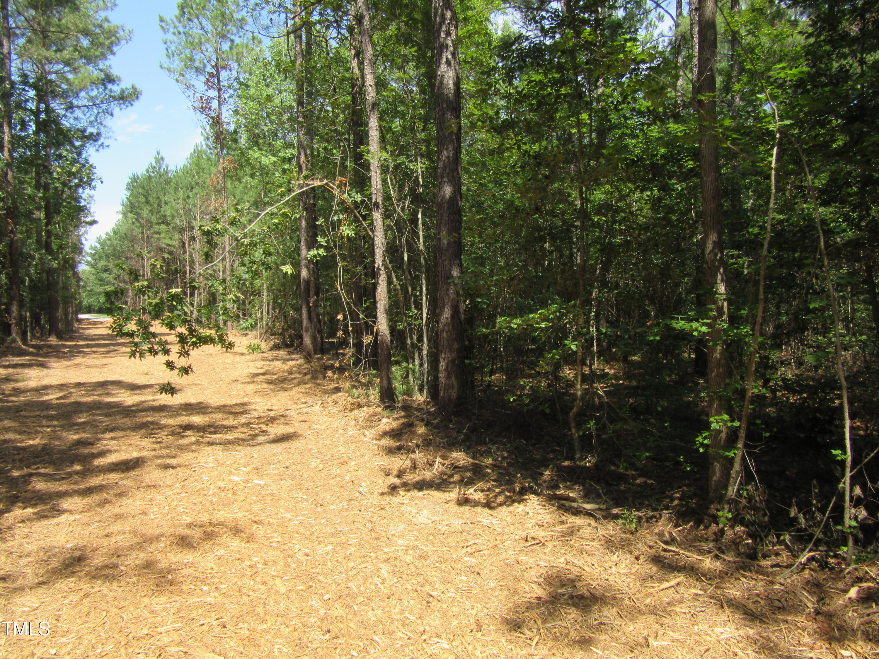 6.1 Acres Frazier Road