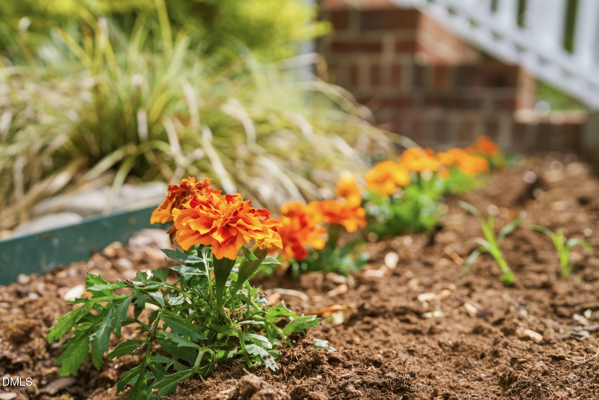 4809 Royal Troon Drive