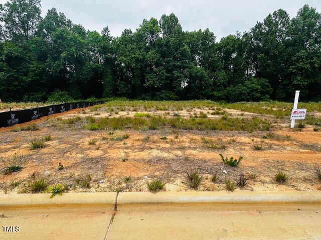 283 Hopewell Br Court