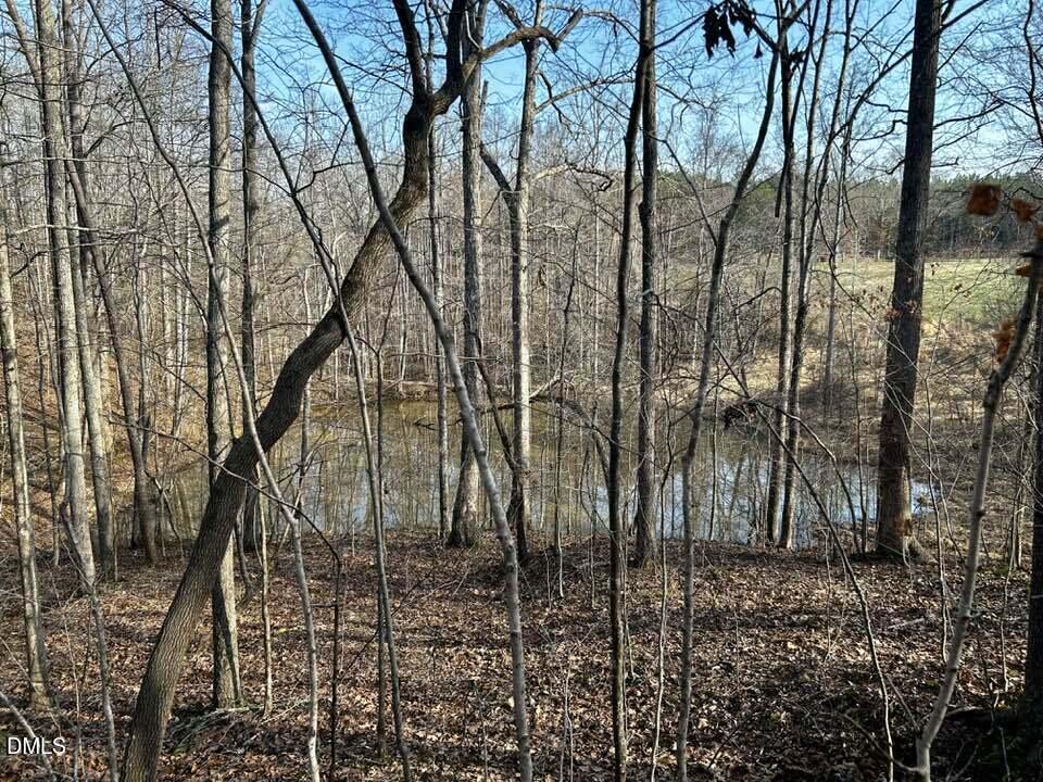 11.05 Acre Elmore Road