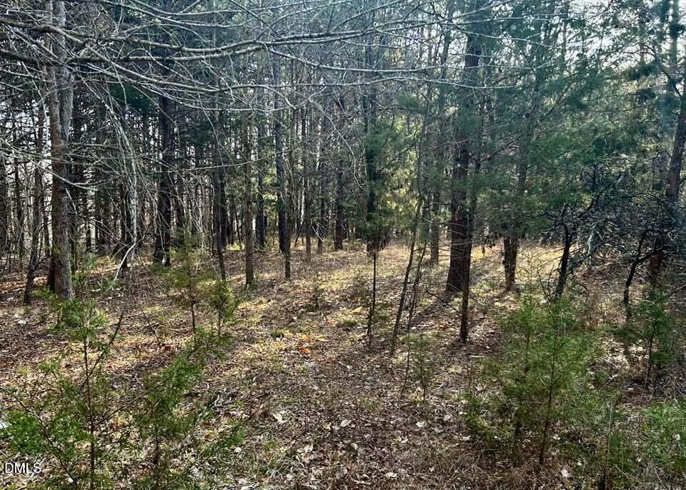 11.05 Acre Elmore Road