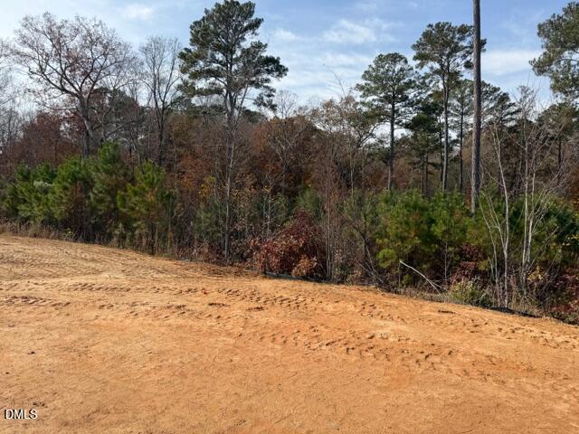 119 Neuse Hollow Court