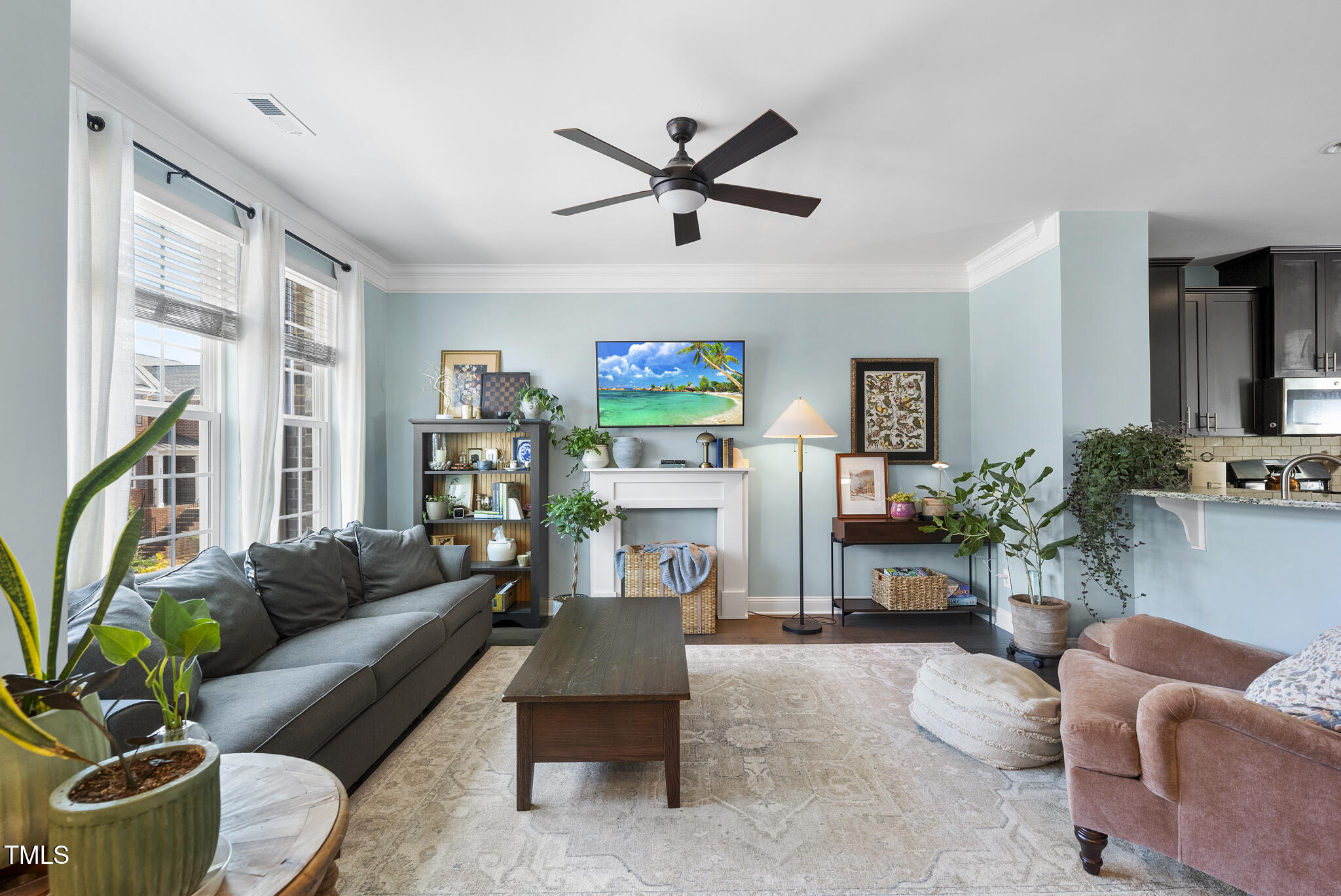 309 Old Mill Village Drive