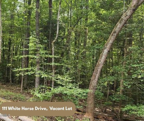 Photo of 111 White Horse Drive, Louisburg, NC 27549 (MLS # 10148136)