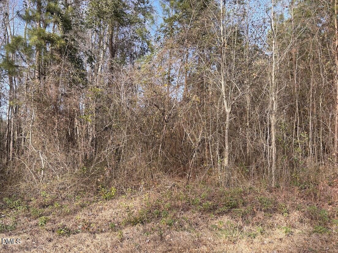 0 Watson Grave Yard Road