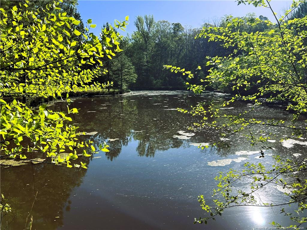 Lot 5 Reynwood Court