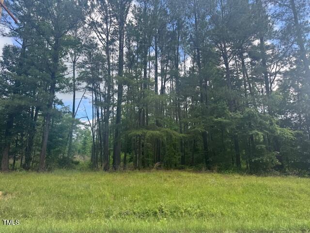 2039 Elkins Lane