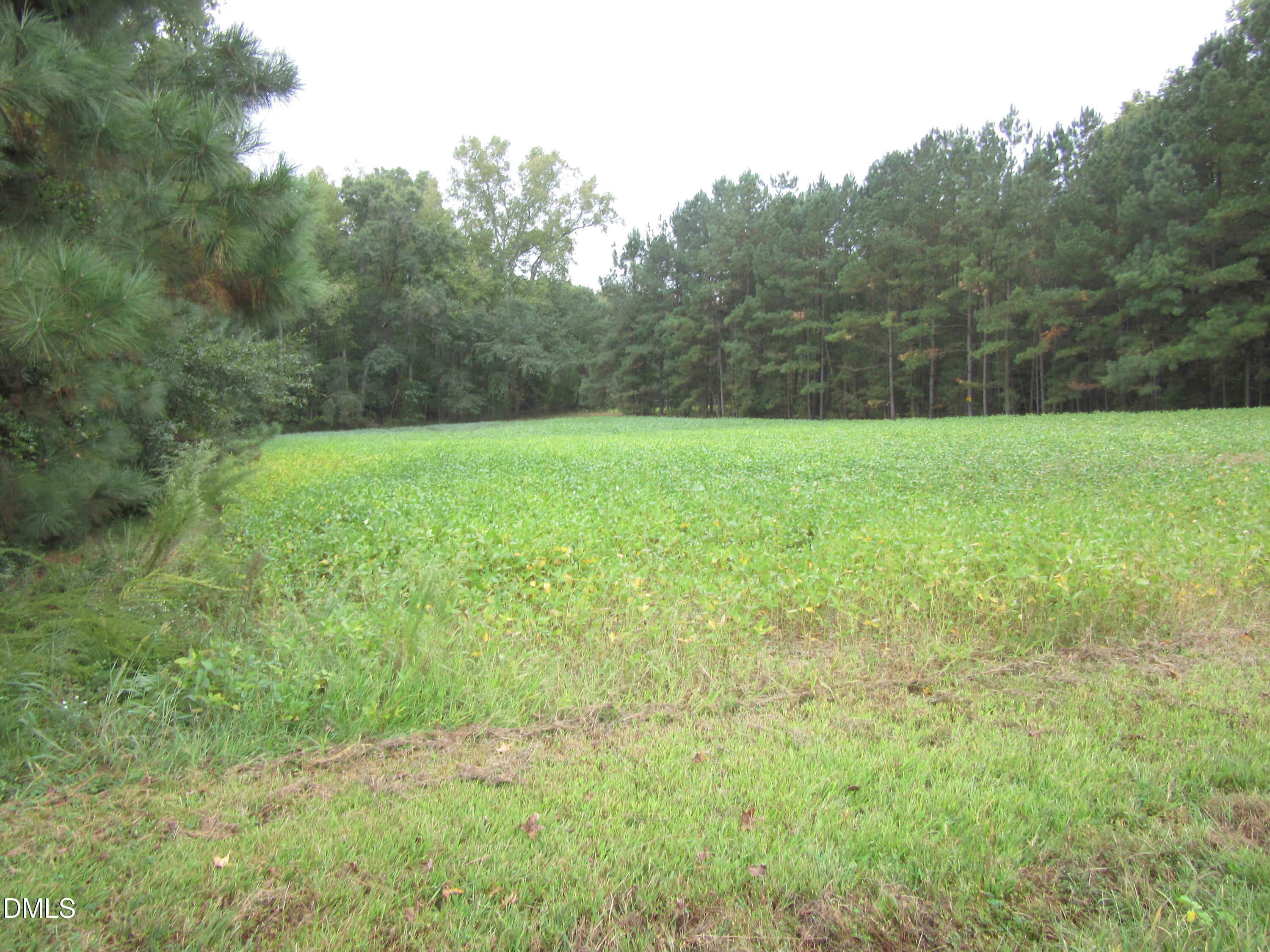 17.75 Acre Furney Pearce Road