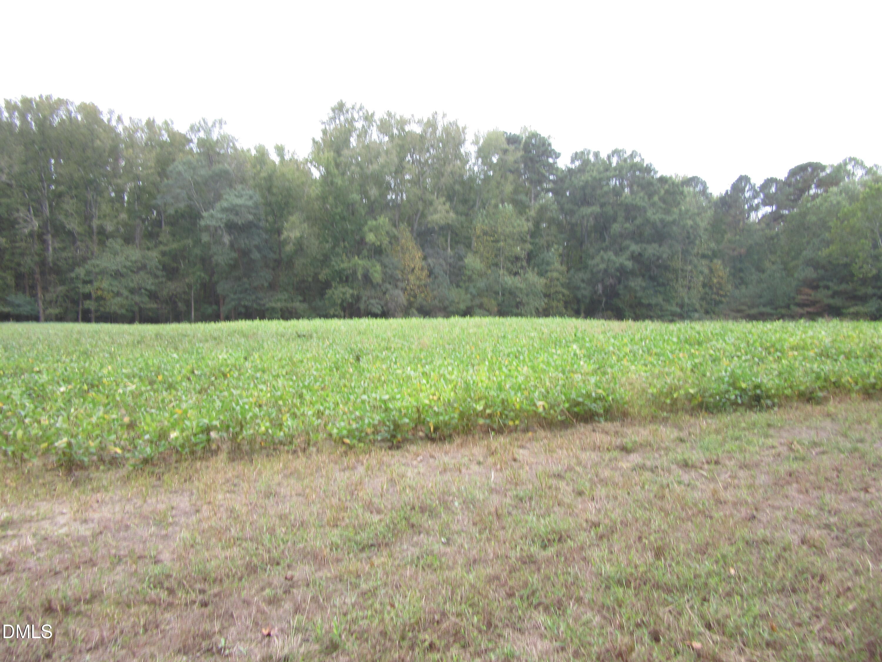 17.75 Acre Furney Pearce Road