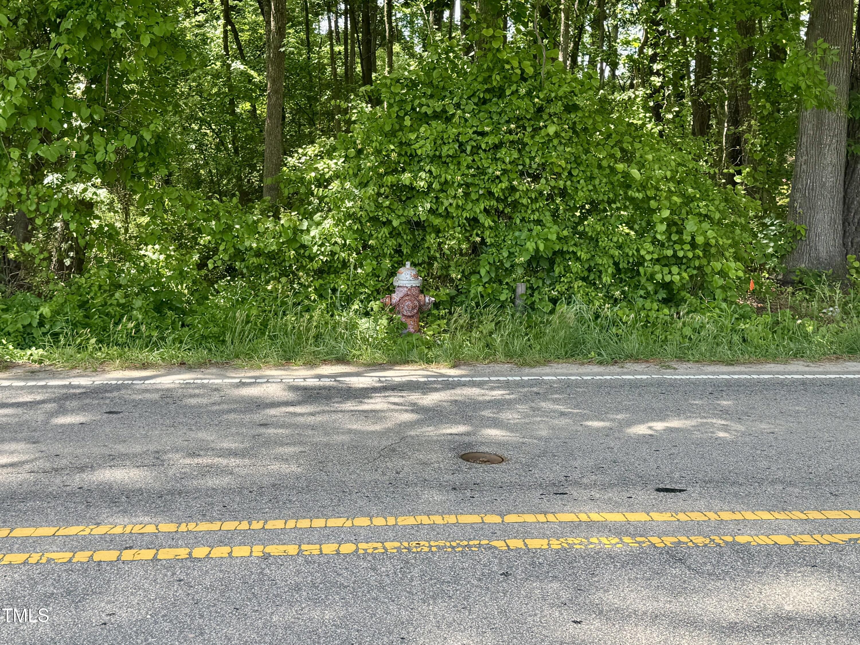 1821 S Mineral Springs Road