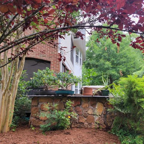 listing image 79