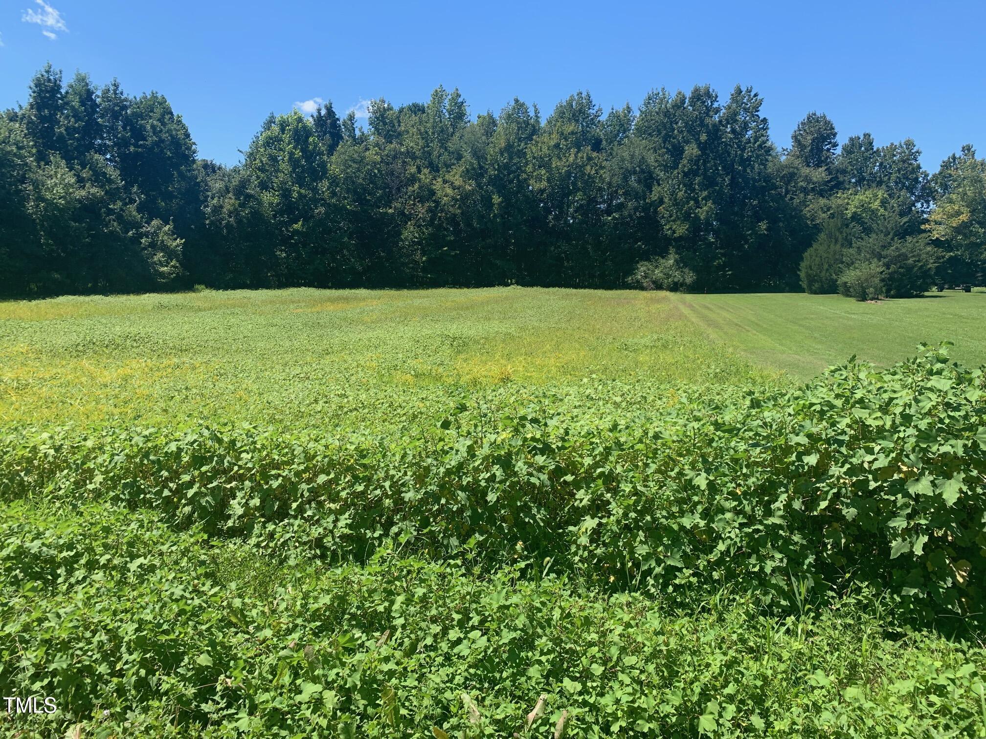 0 Lewis Winstead Loop