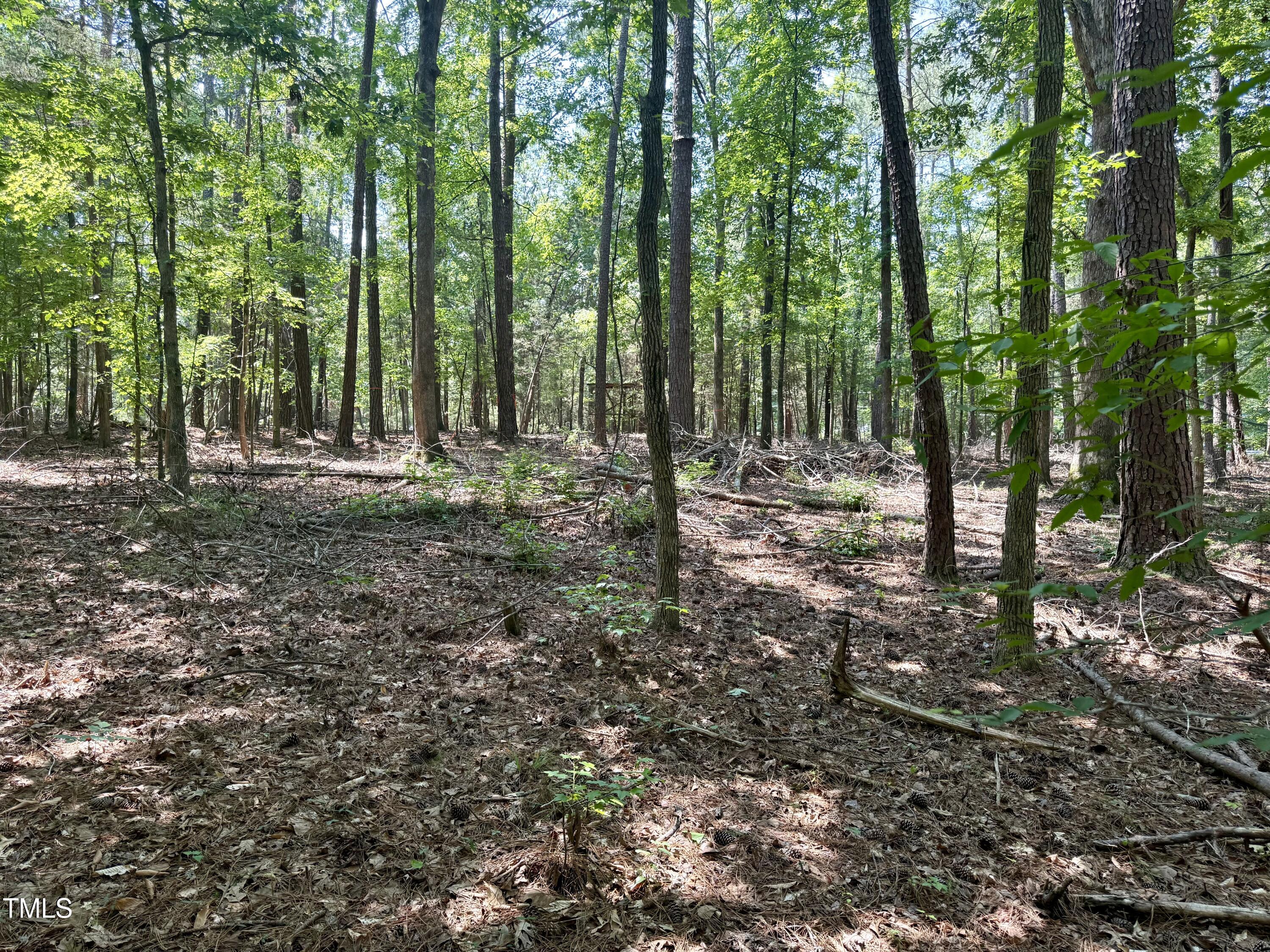 Lot 19 New Hope Dr Drive