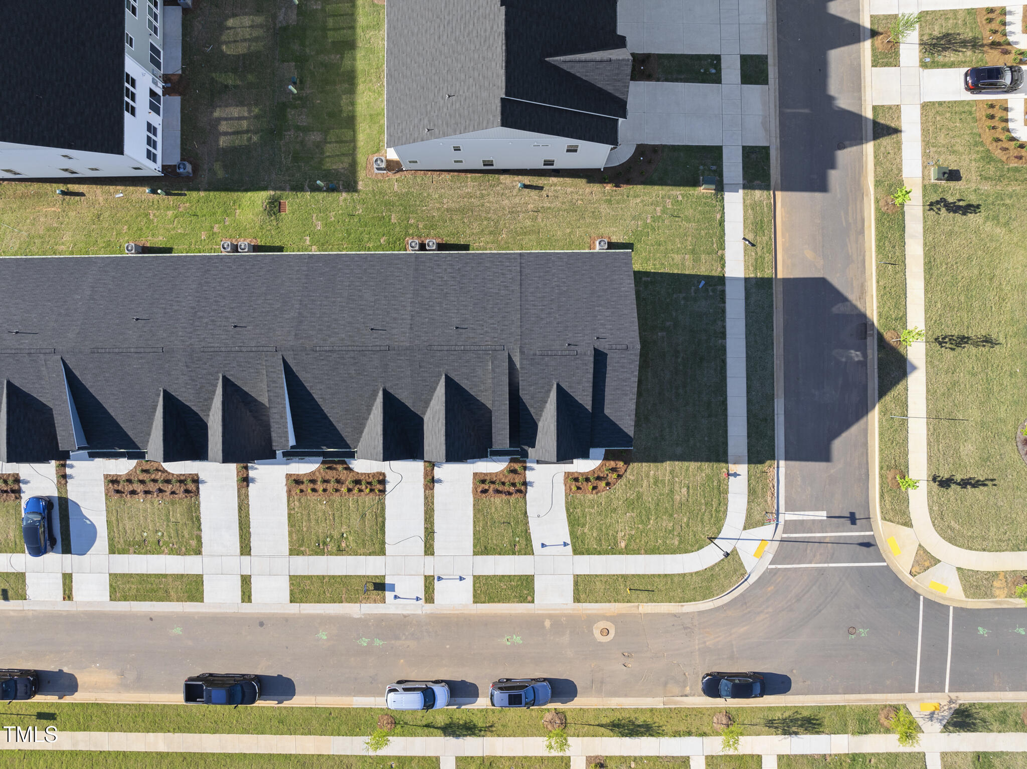 43 Pansy Park 233