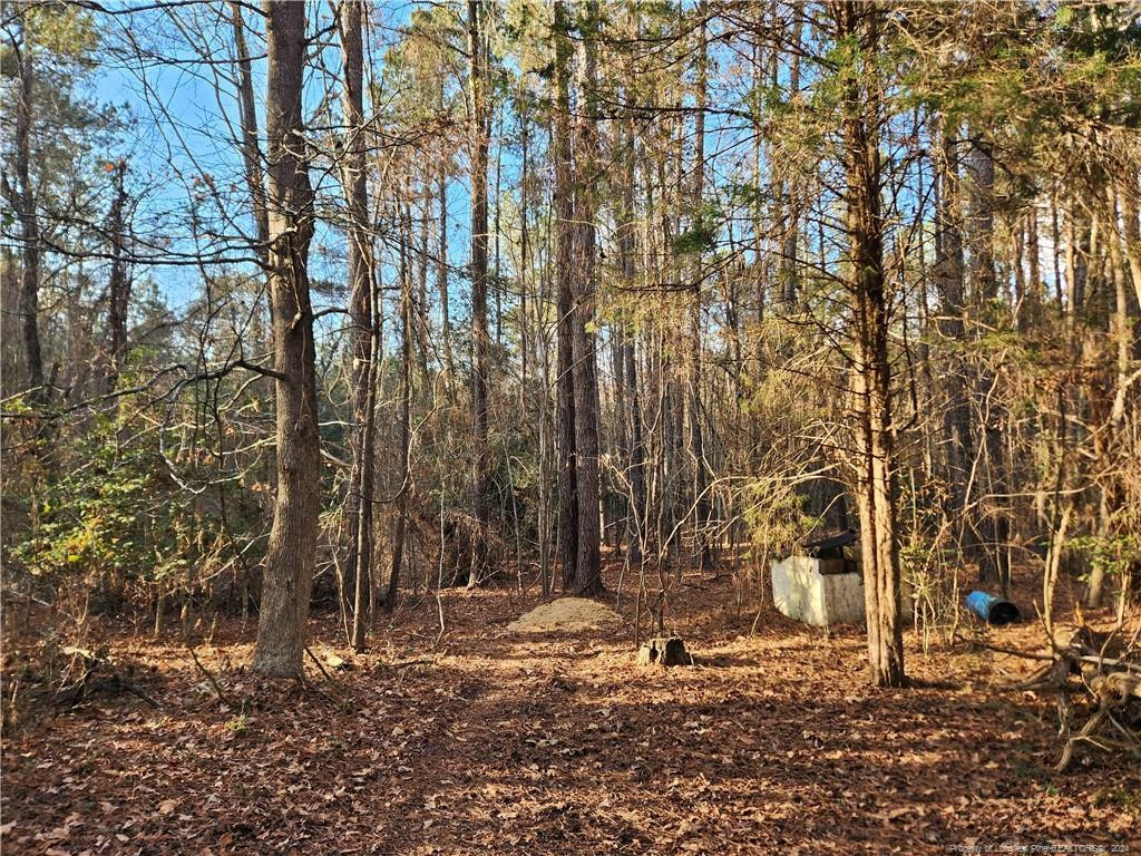 557 Buchanan Road