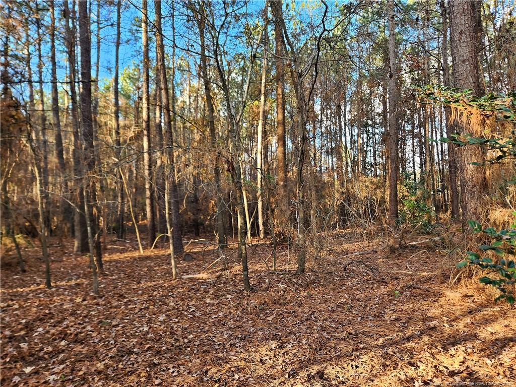 557 Buchanan Road