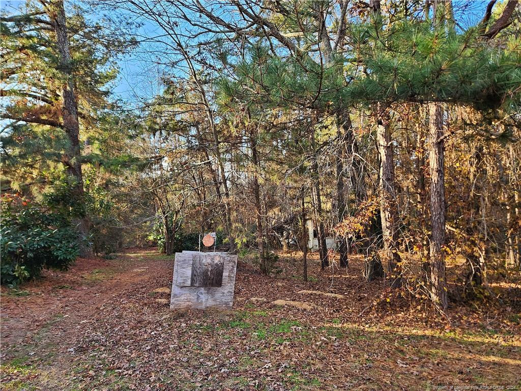 557 Buchanan Road