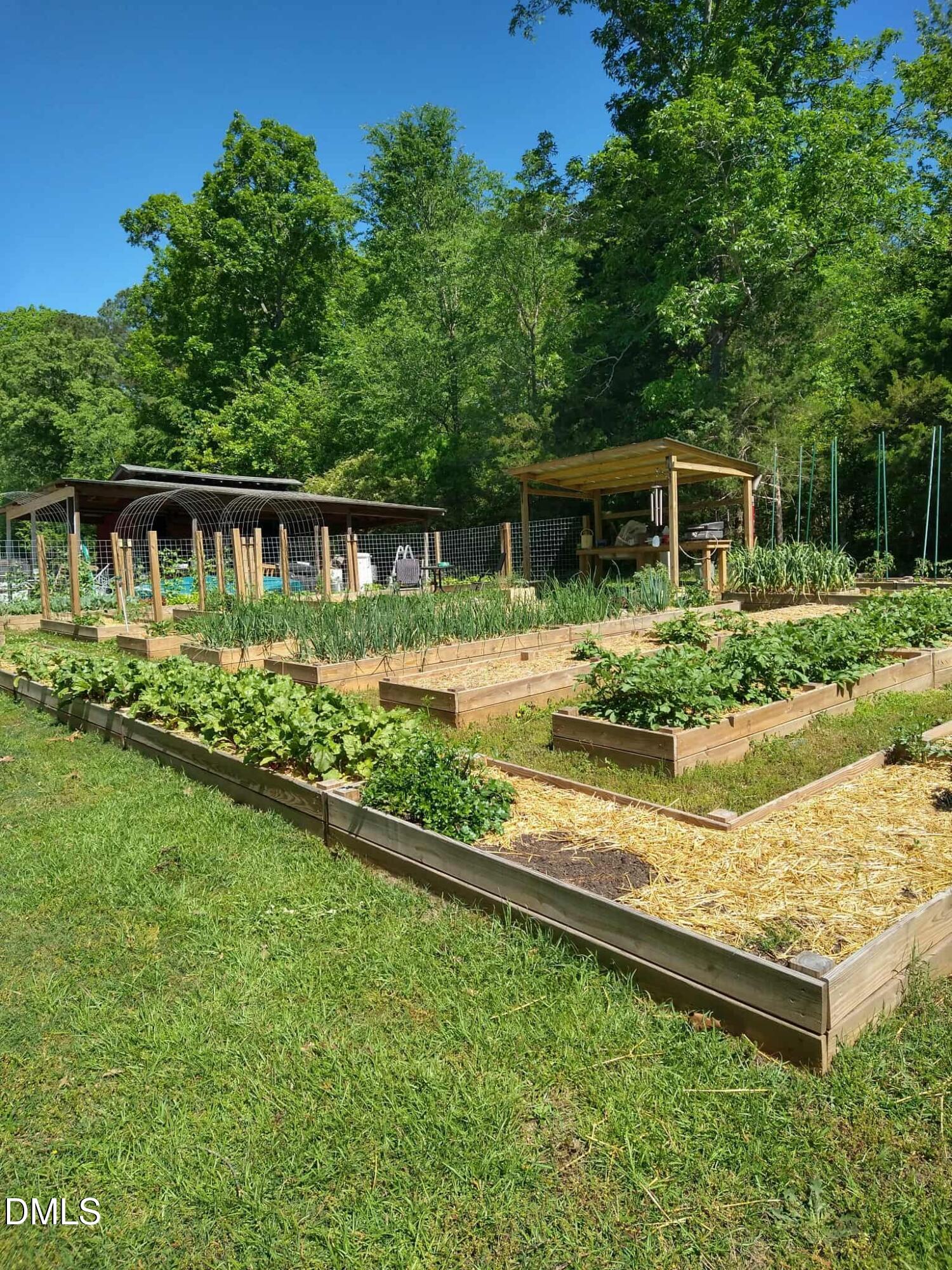 4313 Mitchell Mill Road