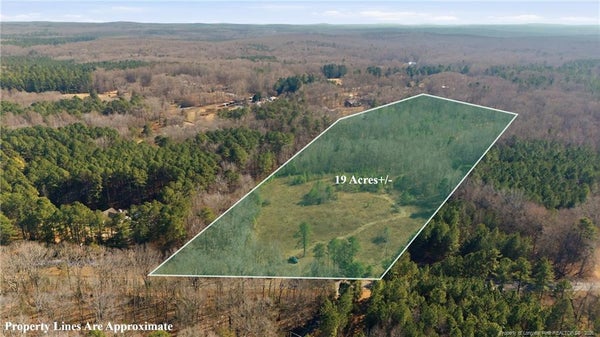 1600 MOUNT WILLING RD, EFLAND, NC 27243 - Image 95d5d8d4cddb25193b49ba7b5b560b40/1324100295