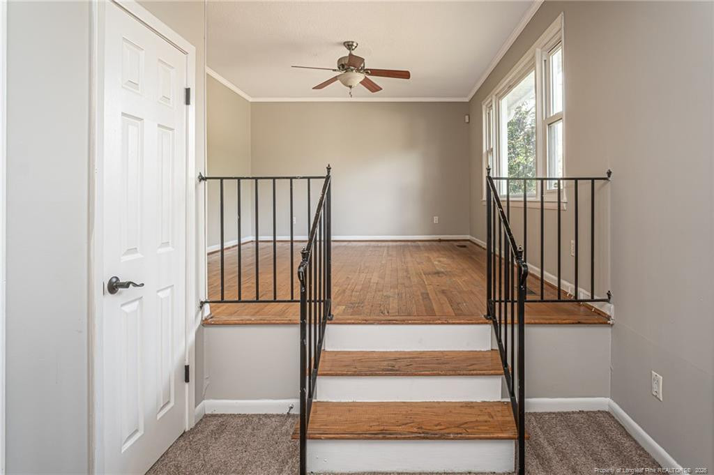 563 Alleghany Road