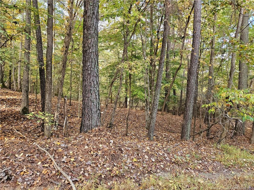 0 Sandy Creek Church Road