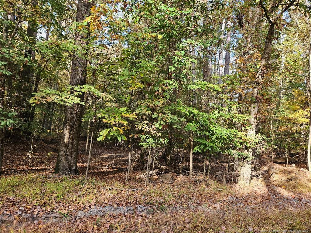 0 Sandy Creek Church Road