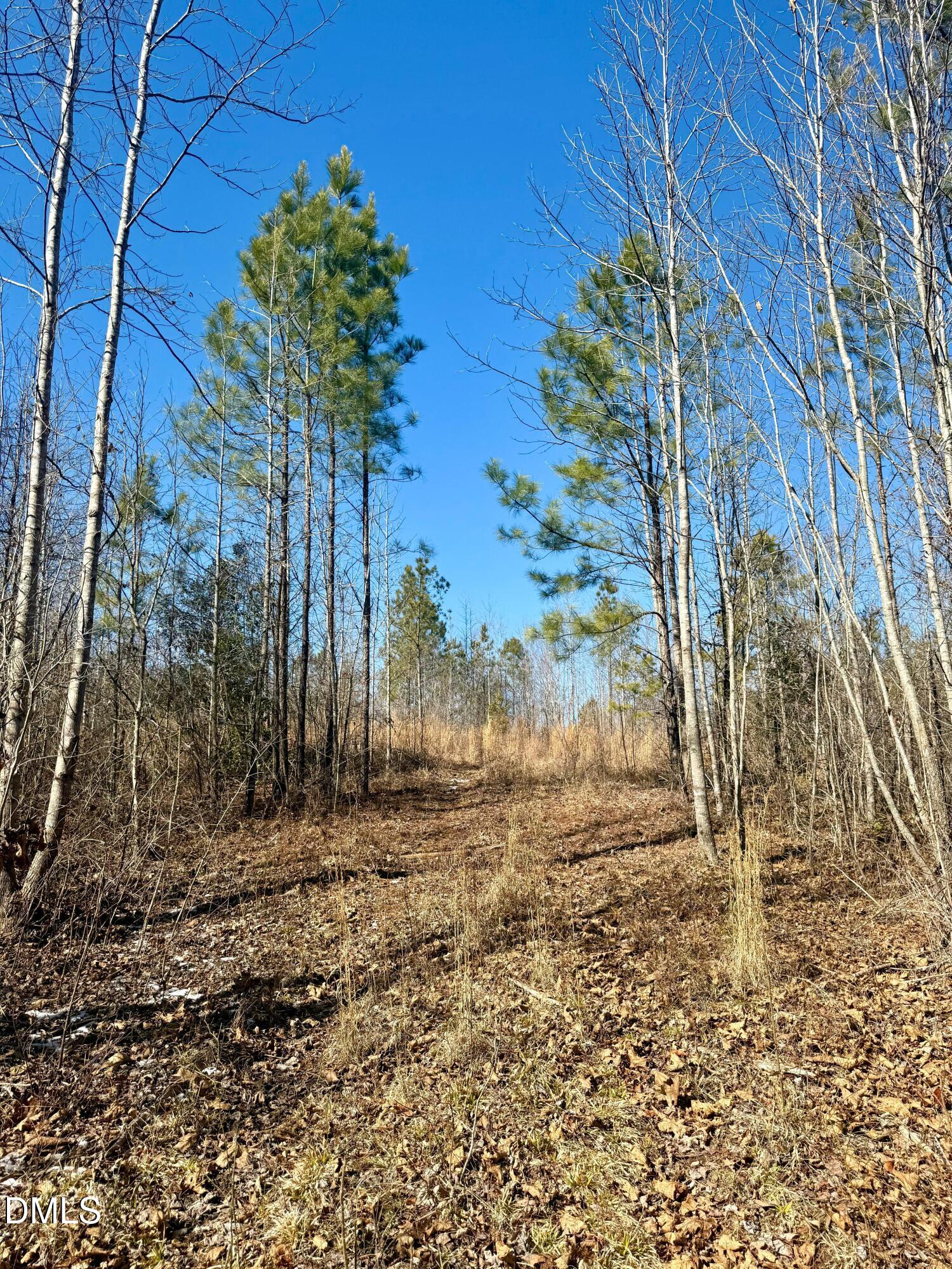 0 Warren Woods Street