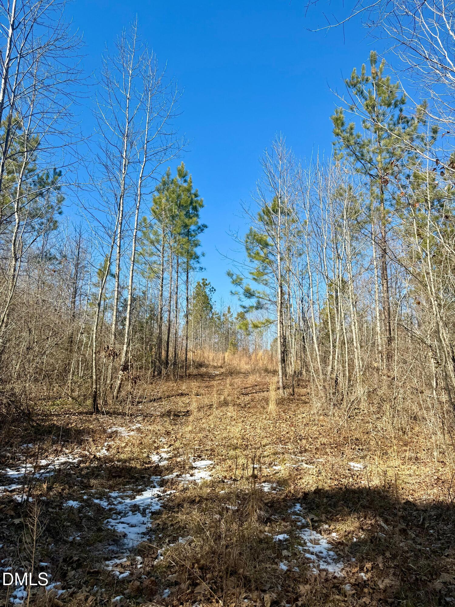 0 Warren Woods Street