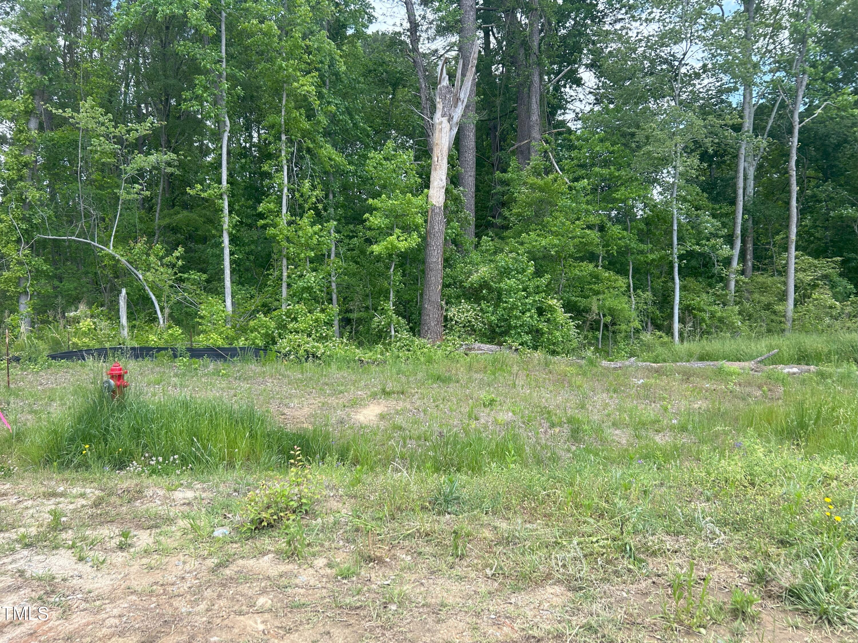 1667 Pecan Drive Lot 25