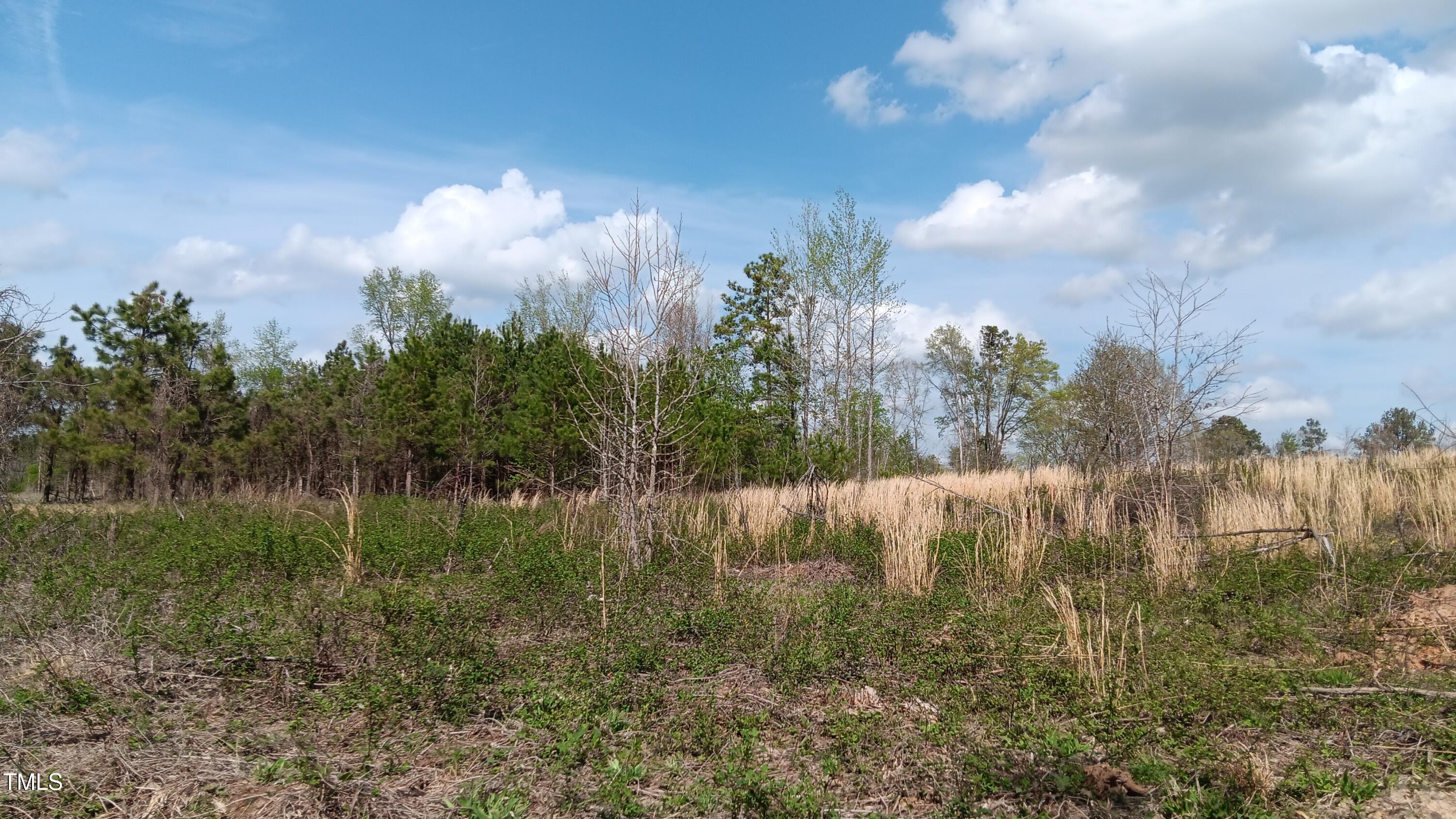 0 Cypress Creek Drive
