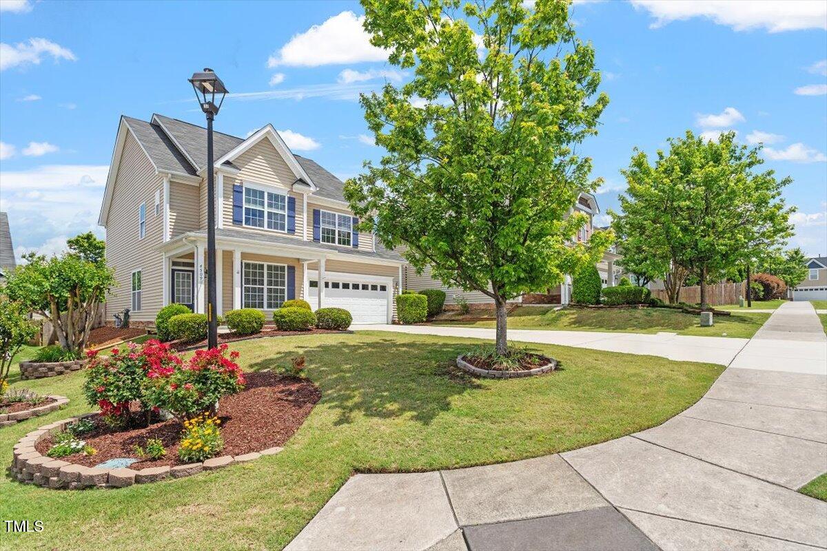 4509 Joe Cotton Drive