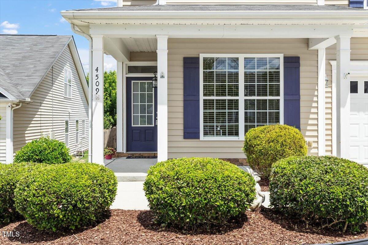 4509 Joe Cotton Drive