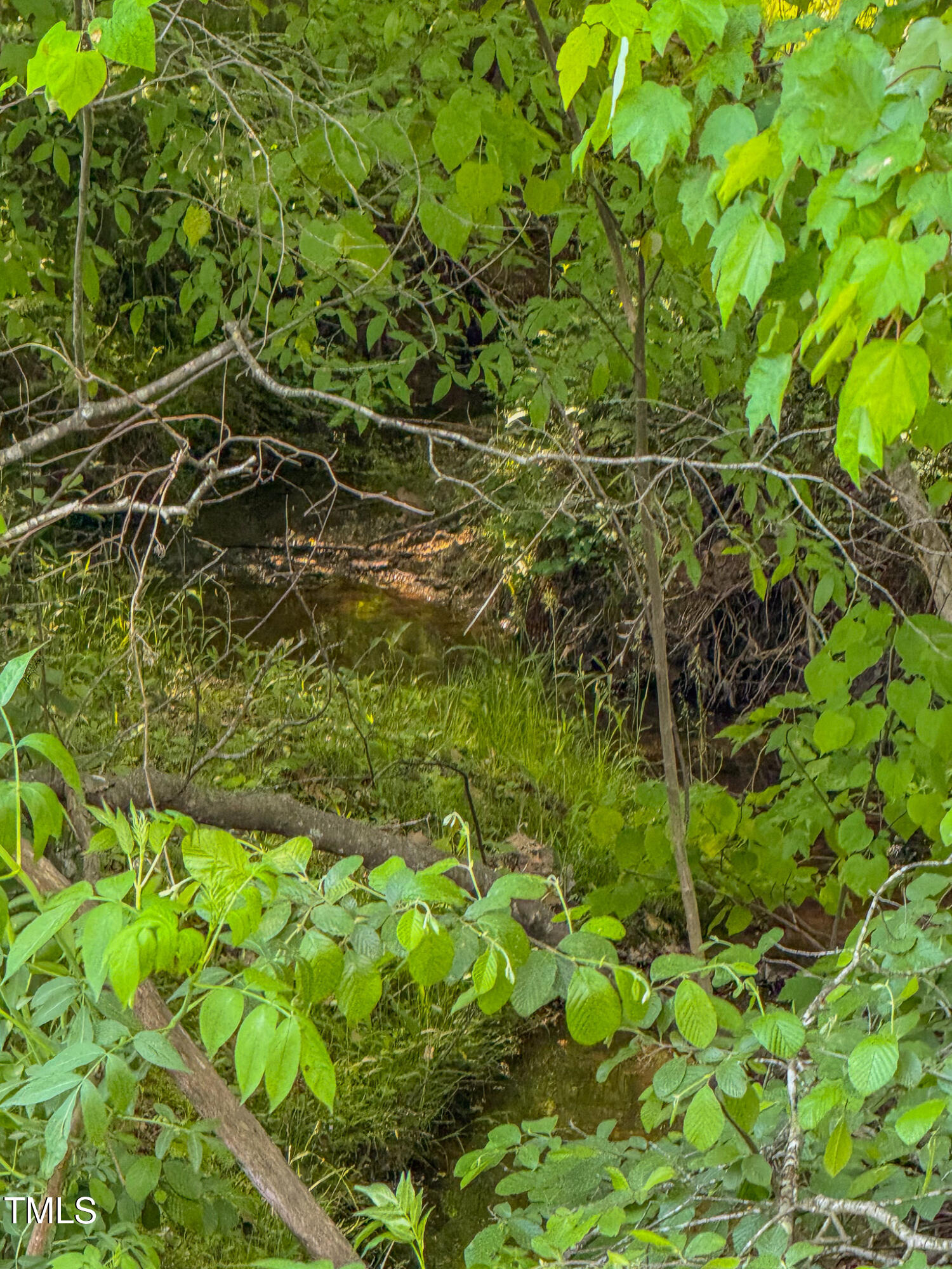 13.96 Acre Bunny Road
