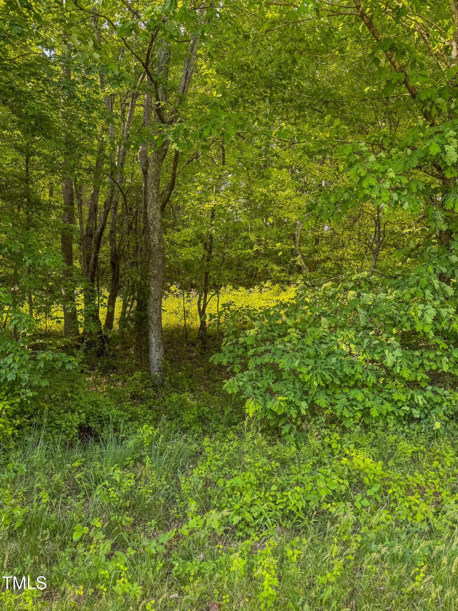 13.96 Acre Bunny Road