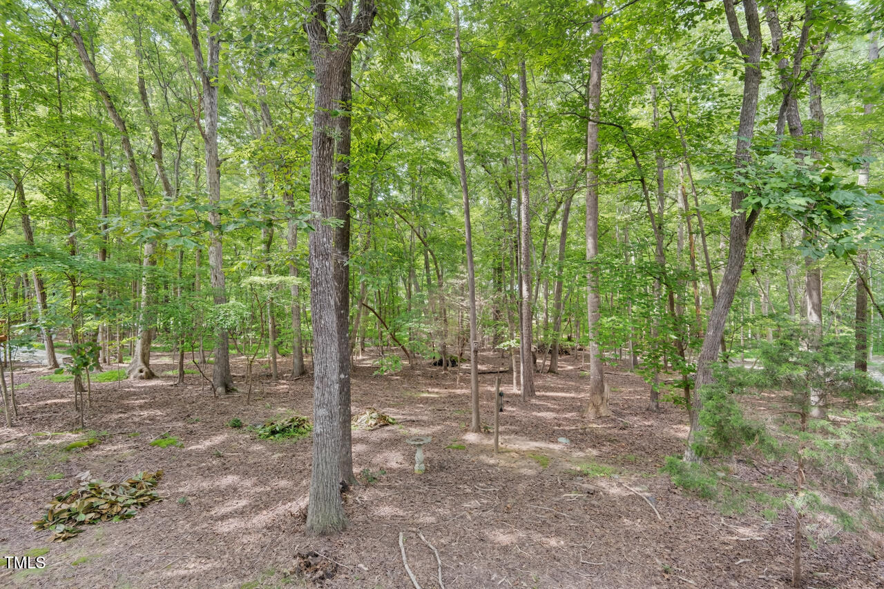 Hillsborough, North Carolina 27278, United States, 4 Bedrooms Bedrooms, ,3 BathroomsBathrooms,Residential,Active,198978