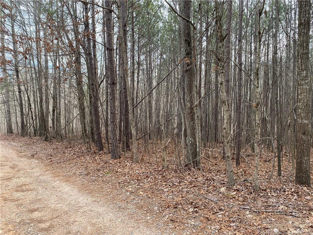 Lick Creek Road