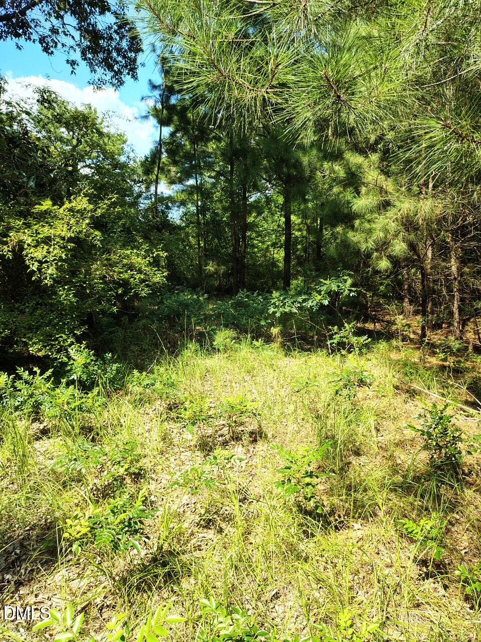 486 Creech Johnson Road
