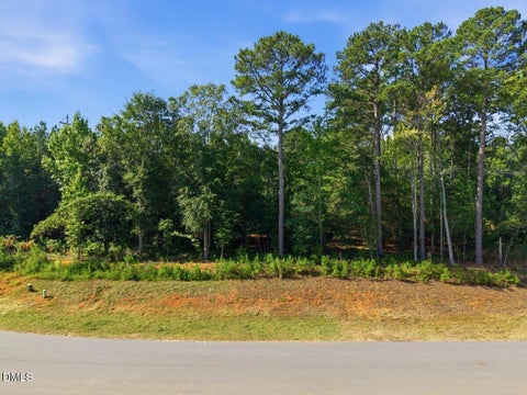 Photo of 331 Meadow Walk Drive, Fuquay Varina, NC 27526 (MLS # 10186925)